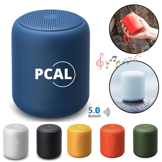 Wireless Bluetooth Portable Speaker