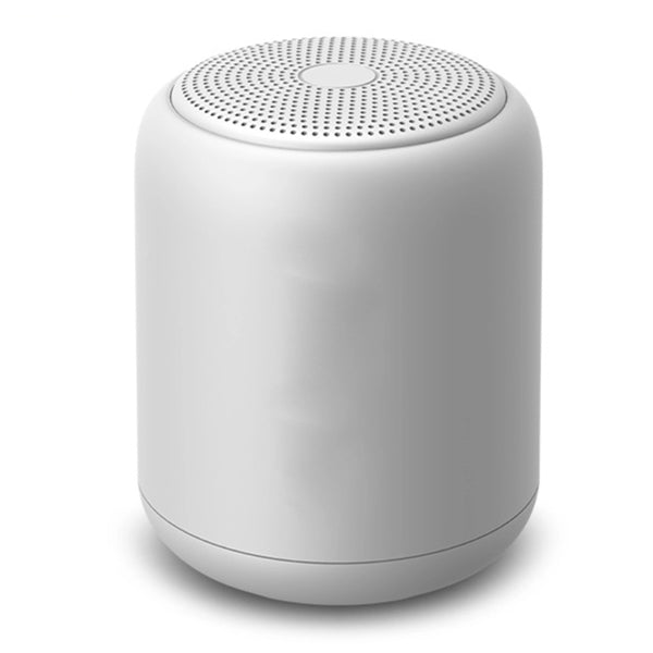 Wireless Bluetooth Portable Speaker