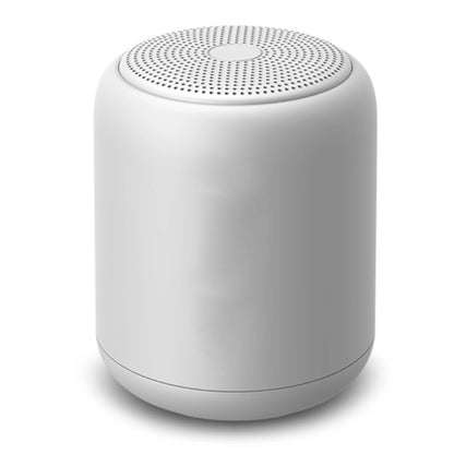 Wireless Bluetooth Portable Speaker