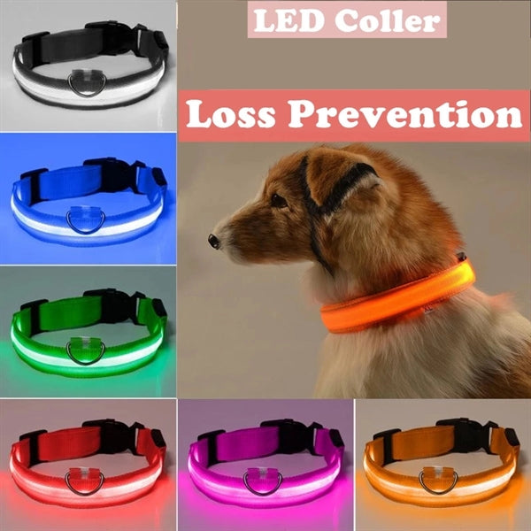 Night Safety Adjustable Pet LED Collar