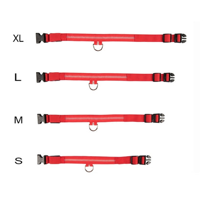 Night Safety Adjustable Pet LED Collar