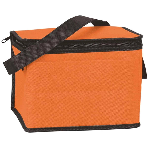 Non-Woven Outdoor Cooler Bag