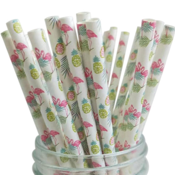 Paper Straw Set - 25 PCS