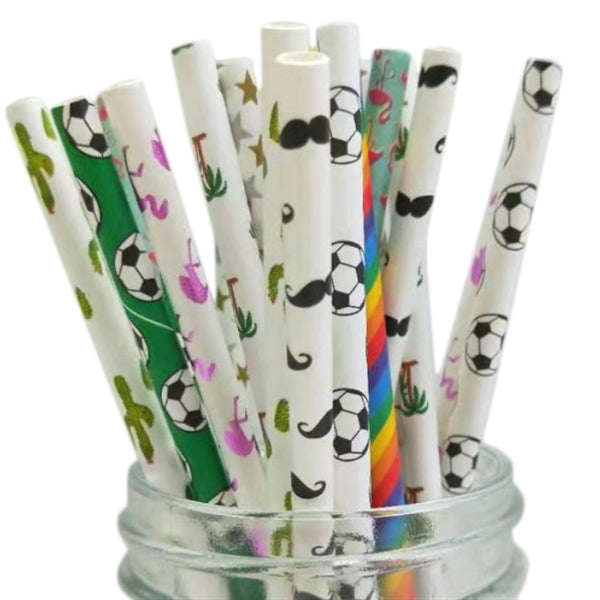 Paper Straw Set - 25 PCS