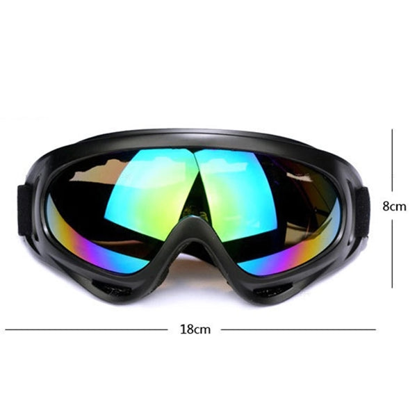 Ski Goggles