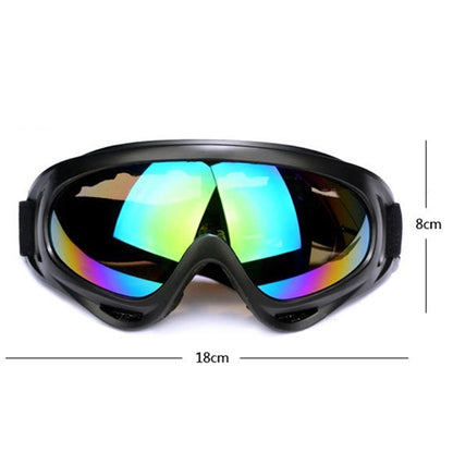 Ski Goggles