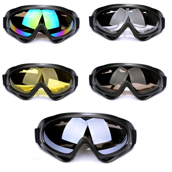 Ski Goggles