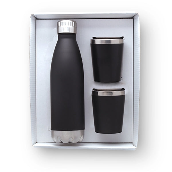 Stainless Steel Bottle and Tumblers Gift Set