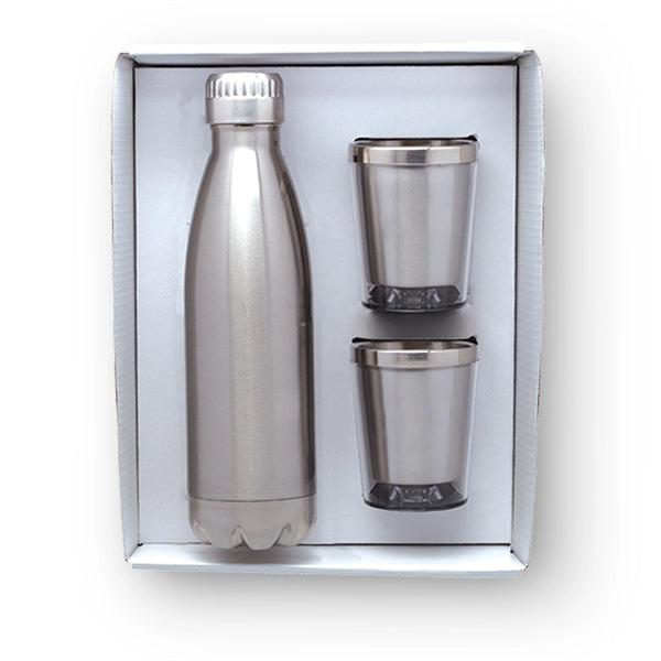 Stainless Steel Bottle and Tumblers Gift Set