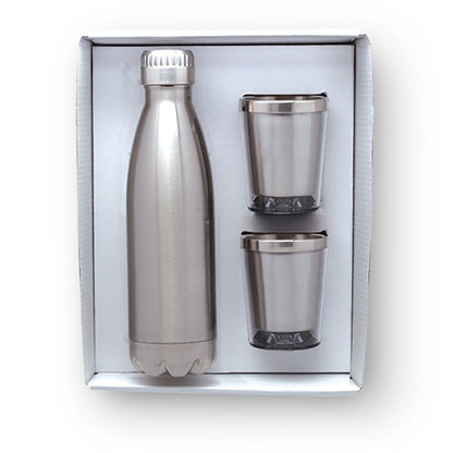 Stainless Steel Bottle and Tumblers Gift Set