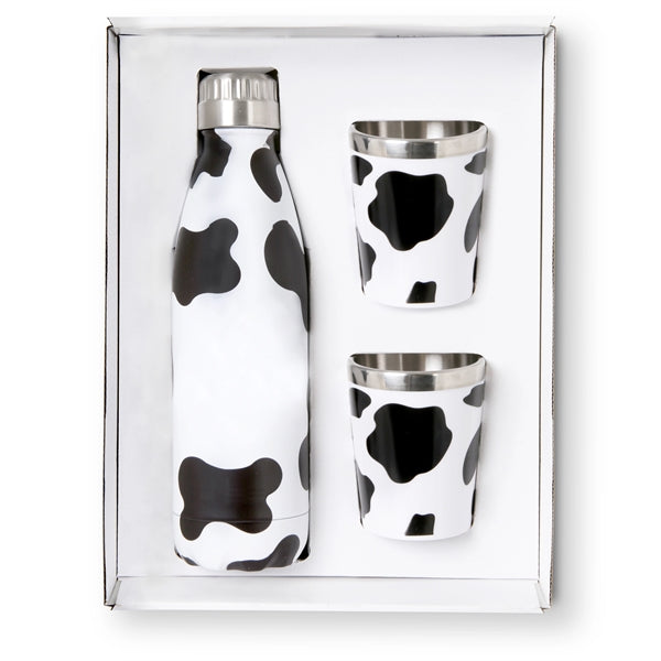 Stainless Steel Bottle and Tumblers Gift Set