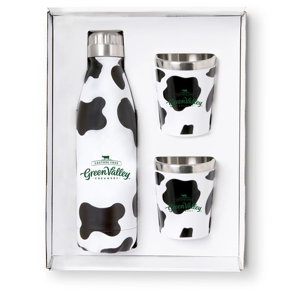 Stainless Steel Bottle and Tumblers Gift Set
