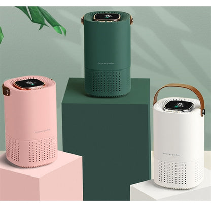 Anion Air Purifier