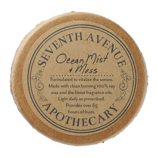 Ocean Mist and Moss 11 oz Glass Jar Candle
