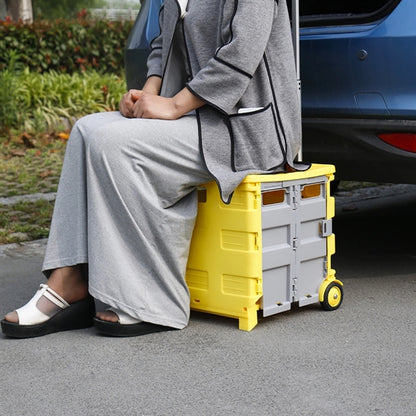 Folding Shopping Trolley