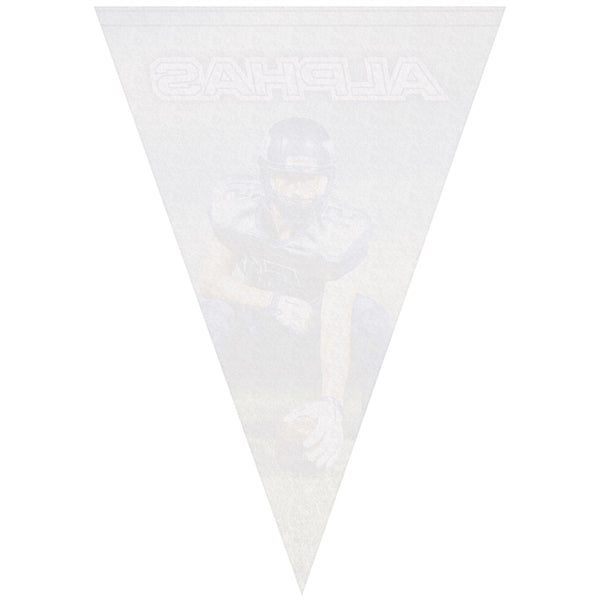 14" x 20" Vertical Triangle Shaped Felt Banner